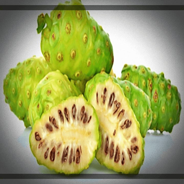 유기농-노니-열매