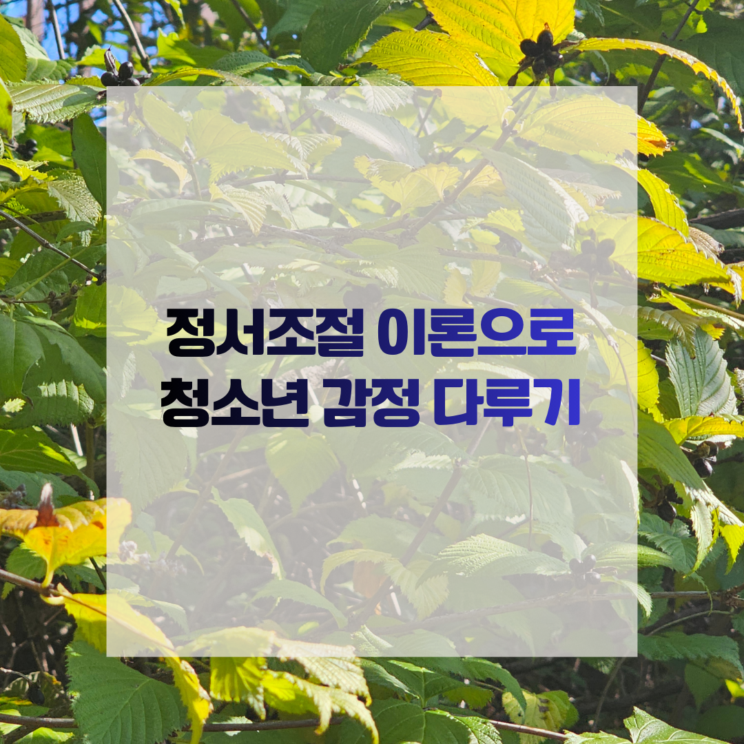 정서조절 이론으로 청소년 감정 다루기