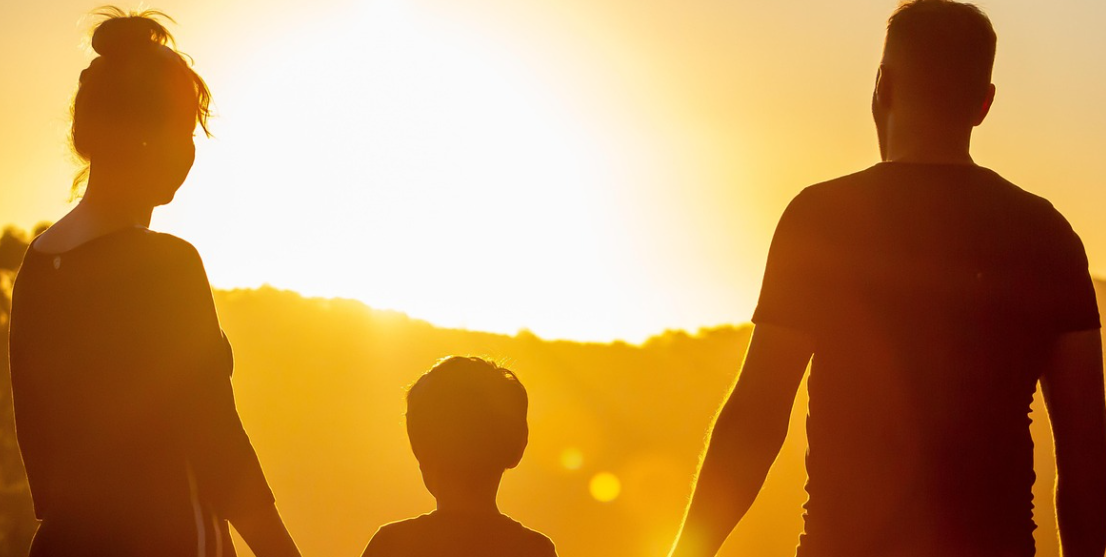 1인가구와 딩크족 소비비교 관련 이미지