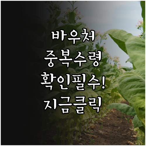 소상공인 경영안정 바우처와 재난지원금..