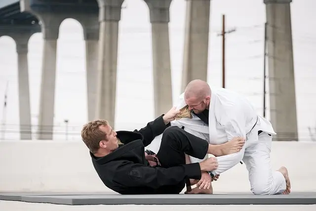a game of judo