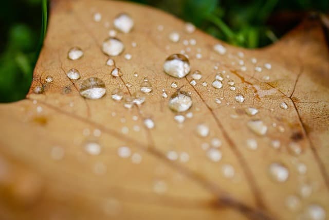 피고인의 정신감정 절차와 불응 시 법원의 처분