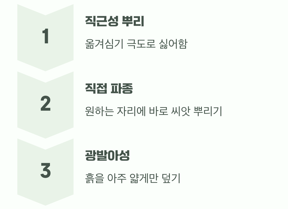 씨앗 심기의 비밀, 옮겨심기는 싫어해요