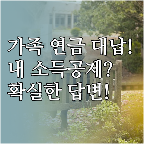 가족 국민연금 대신 납부할 때 본인 ..