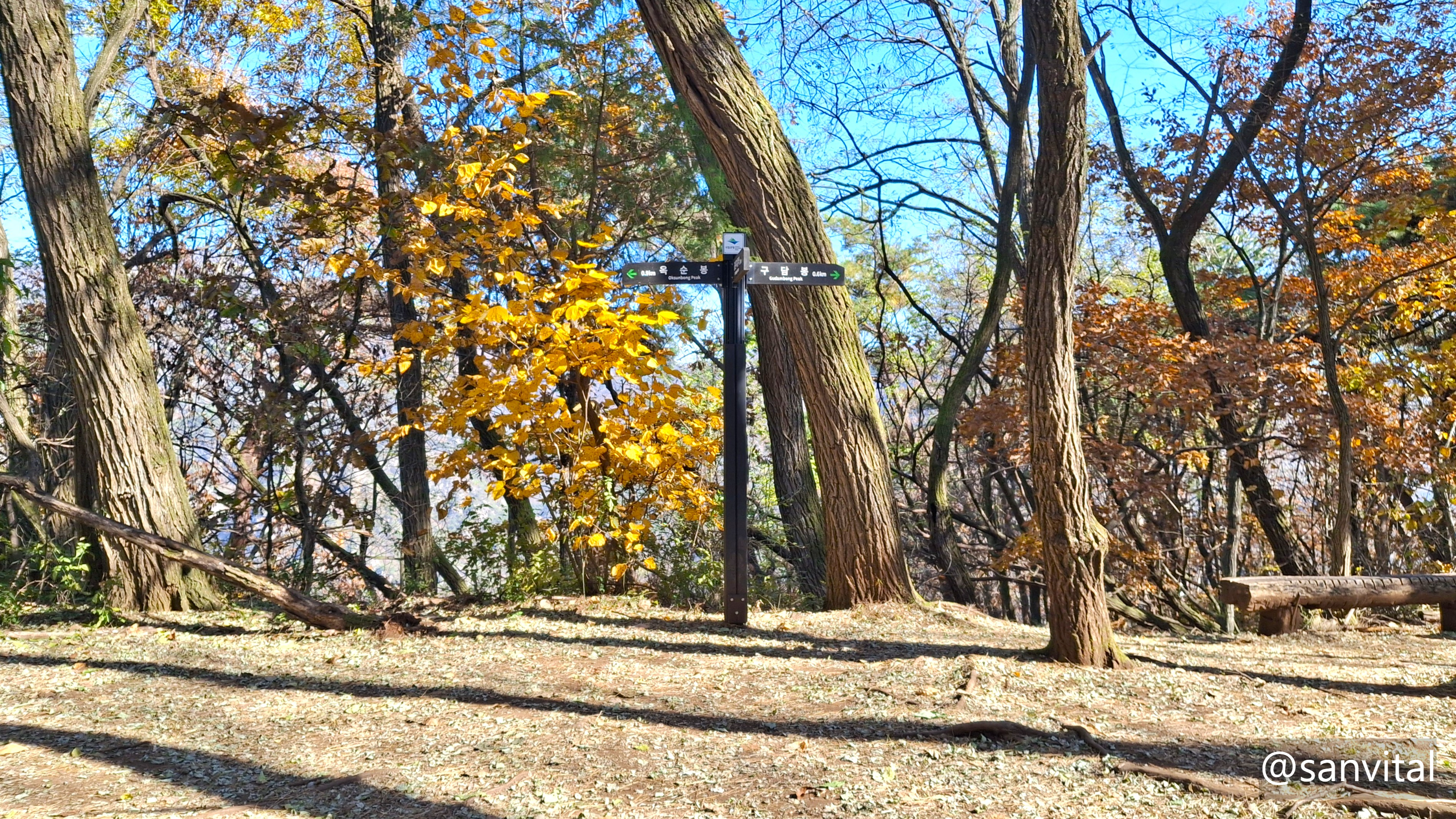 구담봉 옥순봉 갈림길