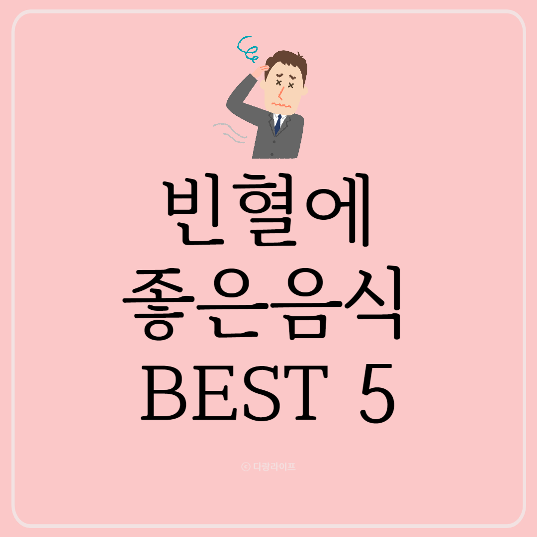 빈혈에 좋은음식 빈혈에 좋은