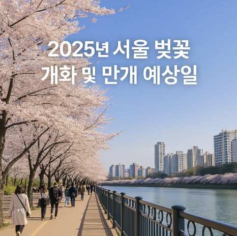2025년 서울 벚꽃 개화 및 만개 예상일