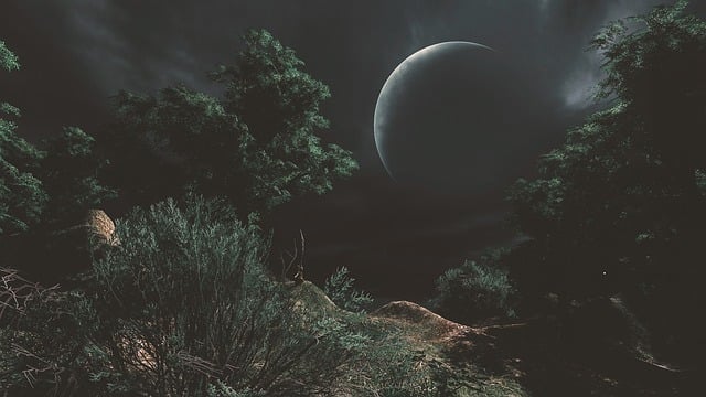 천문학에 대한 문화적, 사회적관점