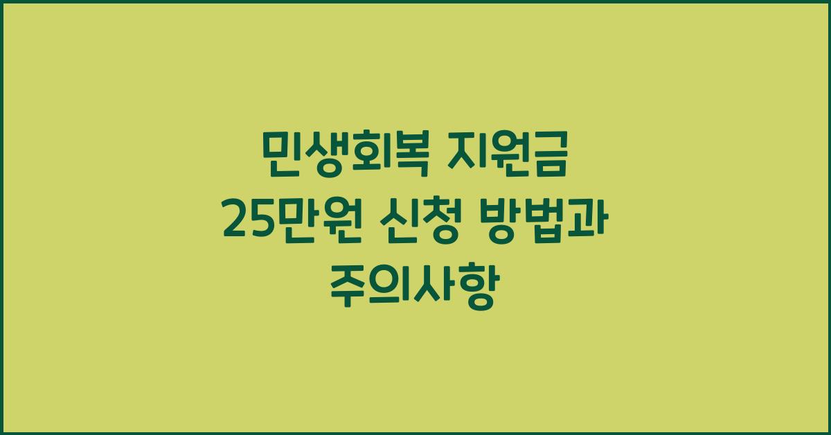 민생회복 지원금 25만원