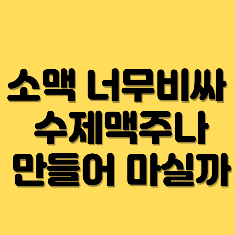 2023.소주값.맥주값.인상.수제맥주만들어마시기.가성비최고