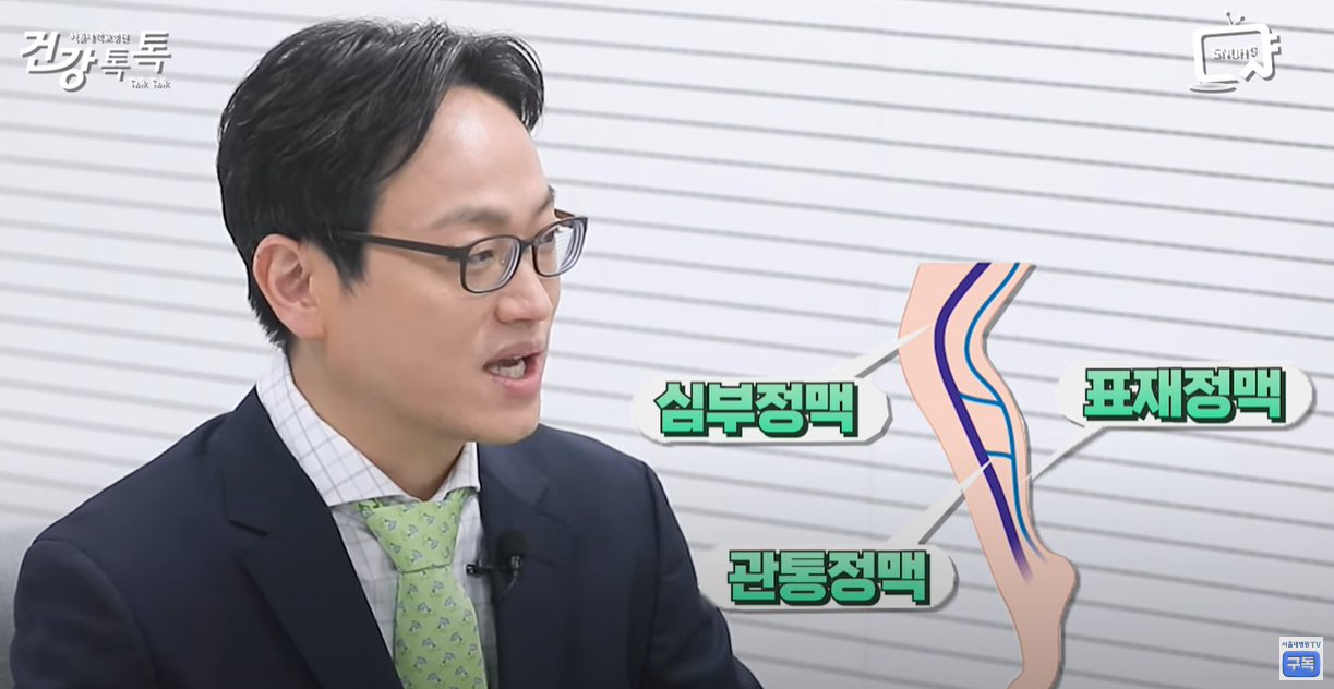 3가지 정맥