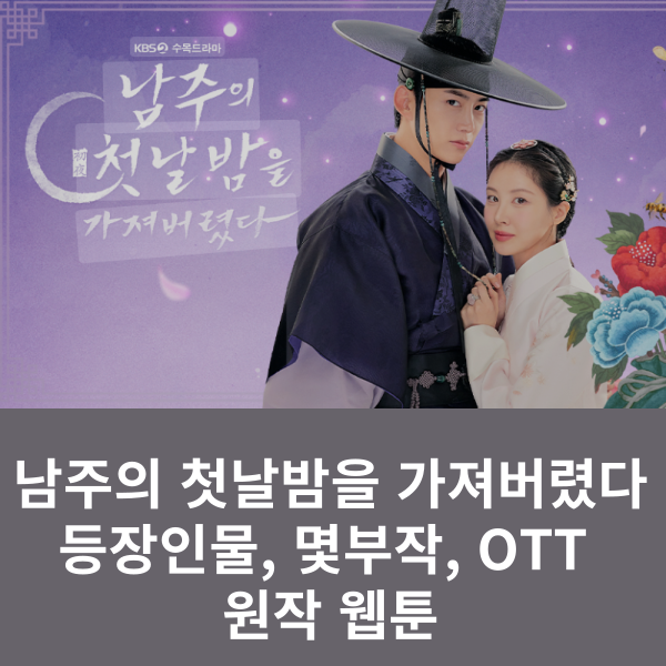남주의 첫날밤을 가져버렸다 드라마 정보