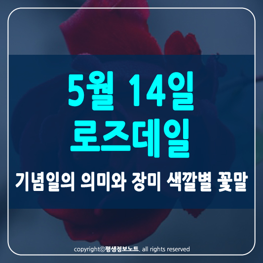 로즈데이 썸네일