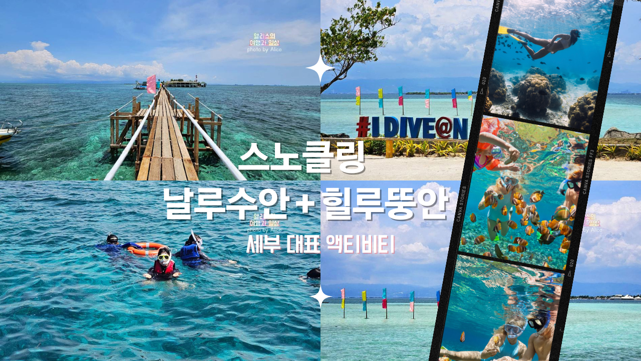 아고다 2023년 9월 호텔 할인 코드 + 세부 일일투어 추천(오슬롭 고래상어 포함) BEST 03