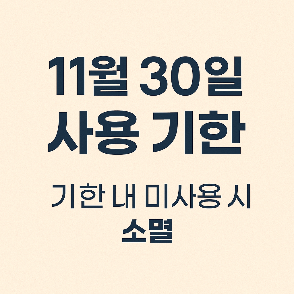 재난지원금 소비쿠폰 사용처 정리