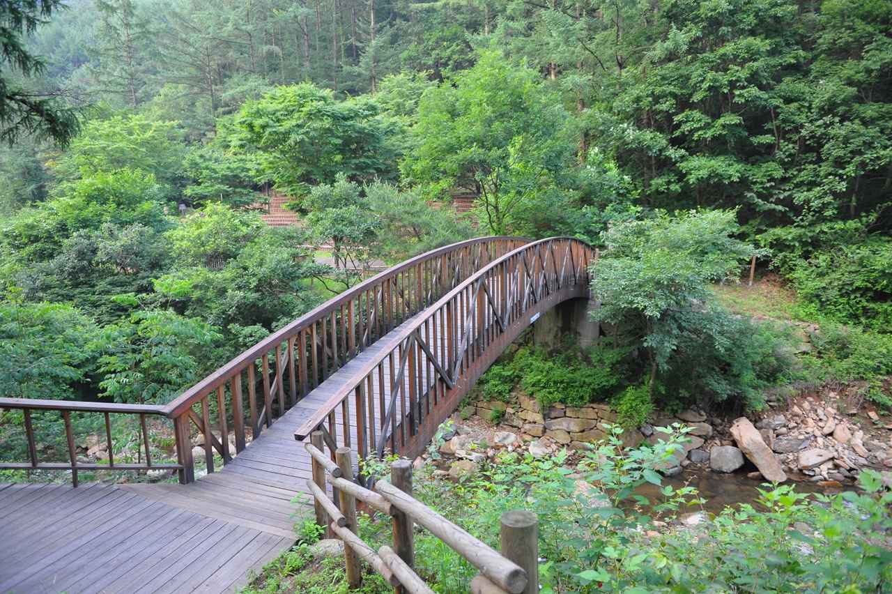 백운산 자연휴양림