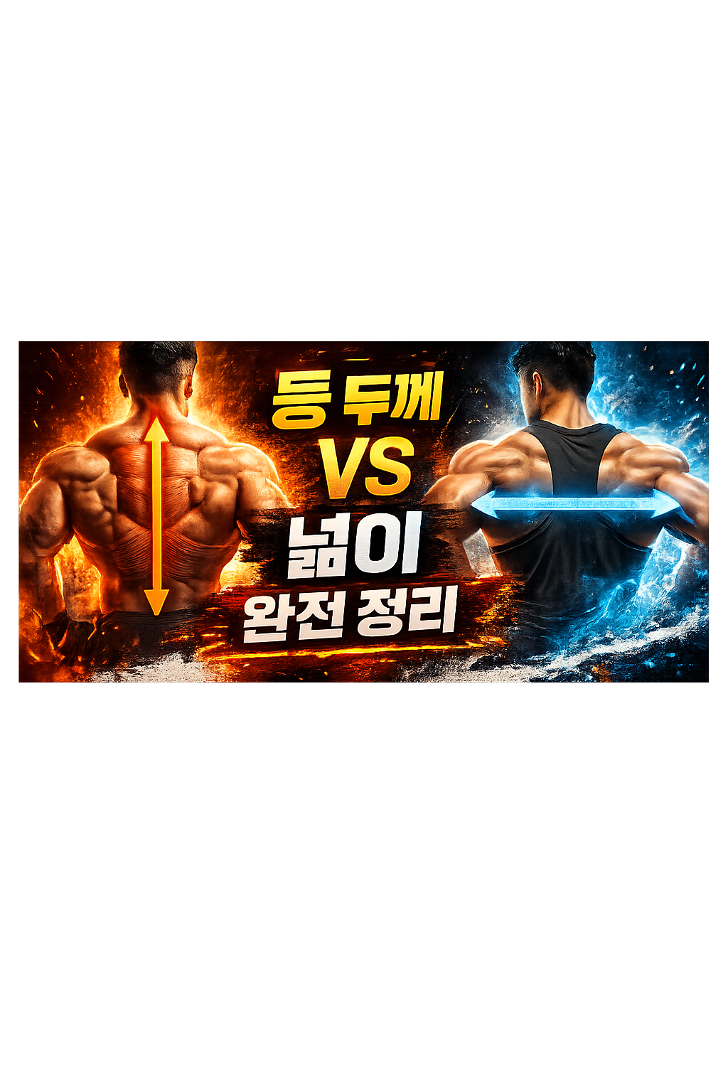 등 두께 vs 넓이 차이 완전 정리