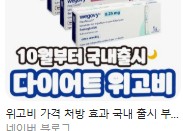 위고비 처방 병원 전국 리스트 관련 사진