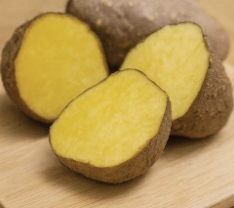 하늘마 먹는 방법