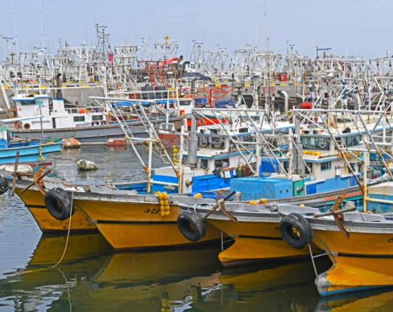 대천 가볼만한곳 베스트10