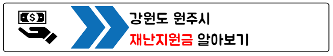 재난지원금