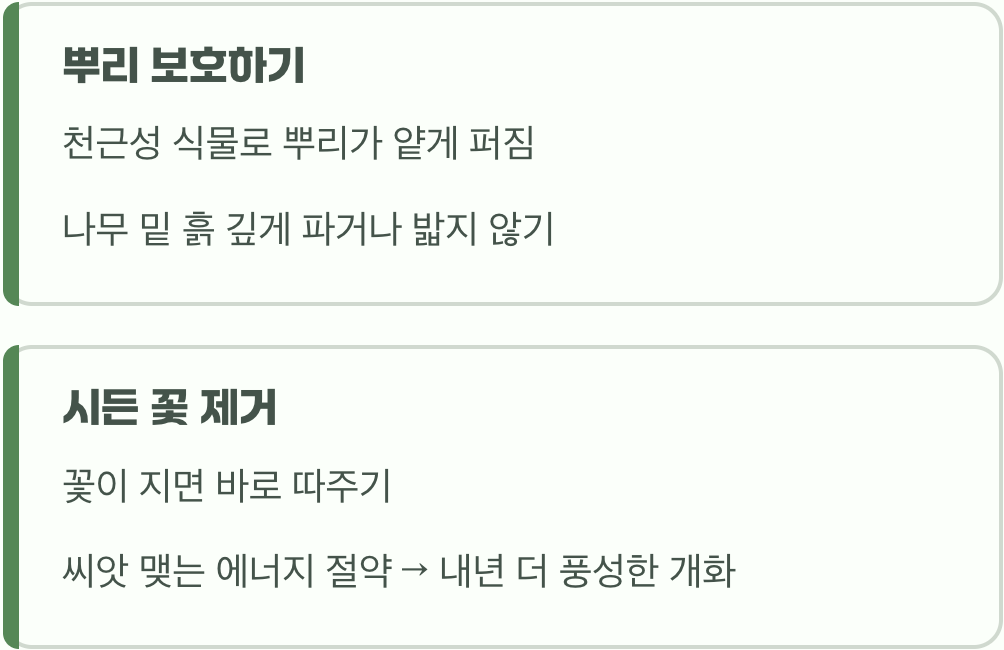 더 건강하게 키우는 꿀팁