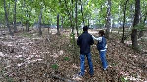 임업경영체 등록조건