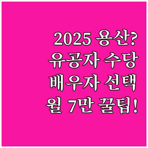2025 용산구 국가유공자 수당 월 ..