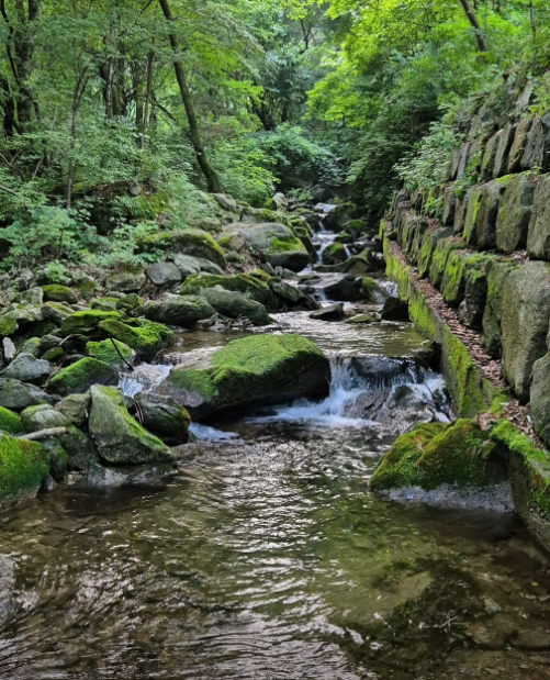 유명산 자연휴양림