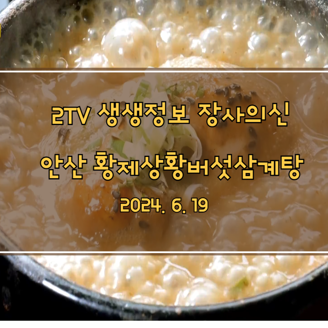 2TV 생생정보 장사의 신 안산 황제상황버섯삼계탕