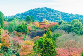 평차-한-달-살기-2