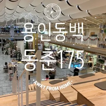 용인 가볼만한곳 추천 맛집 카페 봄 숨은 명소_3