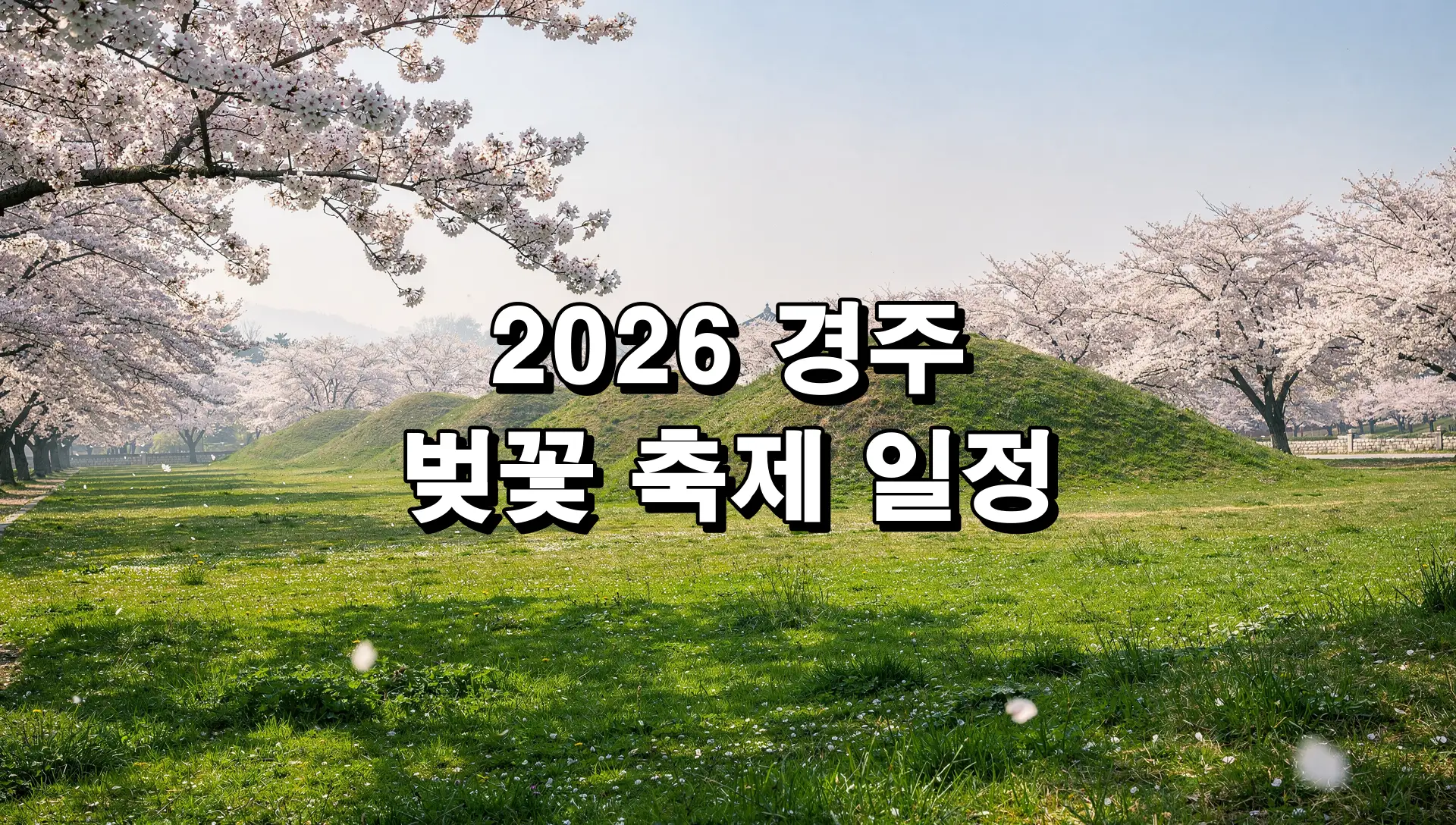 2026 경주 벚꽃 축제 일정