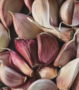 마늘 효능 효과 부작용 당뇨 혈관 건강