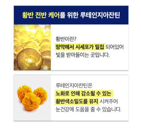 루테인 지아잔틴 효능 부작용 섭취방법