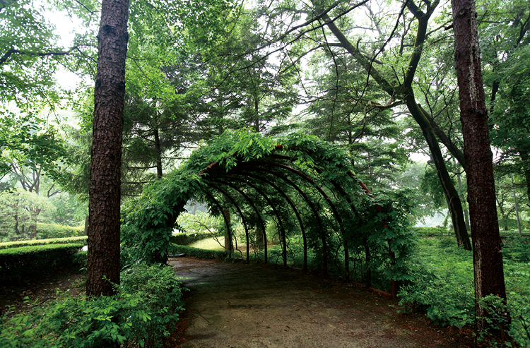 국립수목원 예약