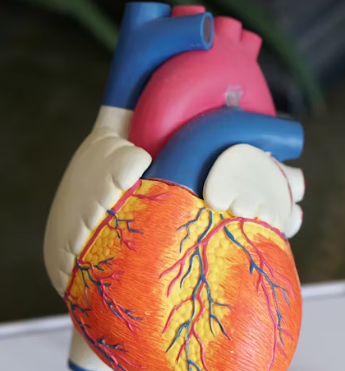 심근경색 전조증상 원인 예방법