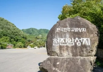 천진암 흰민들레 백양자연관찰로 괭이눈 개화_41