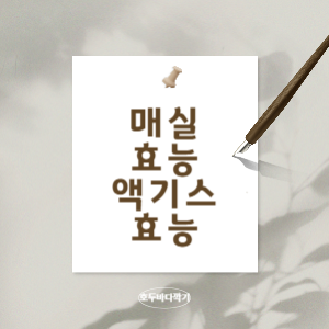 매실-효능과-매실-액기스의-효능