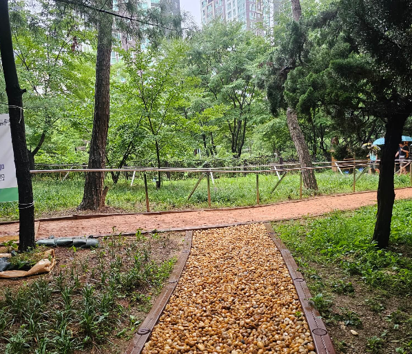 계족산 황토길 걷기, 맨발걷기 효능 4