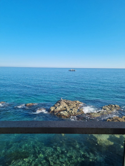 영덕 강구항카페 카페봄 전망 좋은 바다뷰 추천