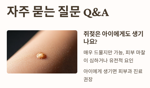 자주 묻는 질문 Q&amp;A