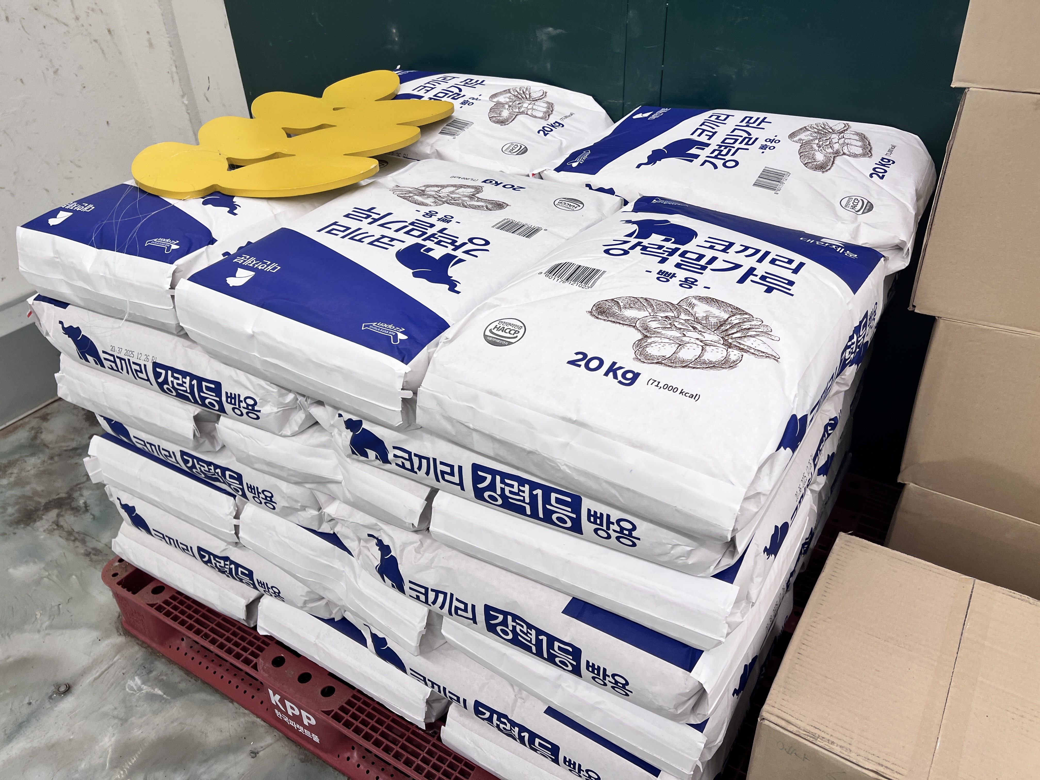 코끼리베이글 성수