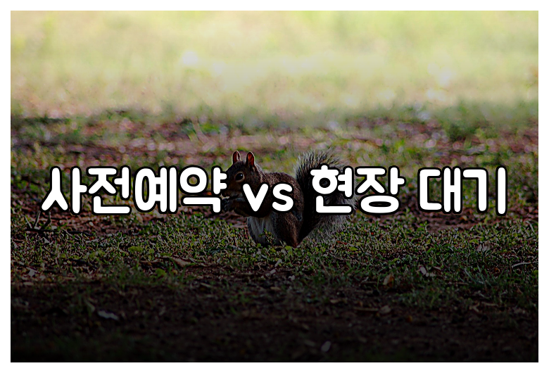 사전예약 vs 현장 대기