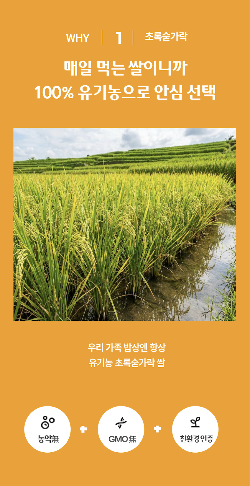 드랩아트 상세페이지 제작한 결과물