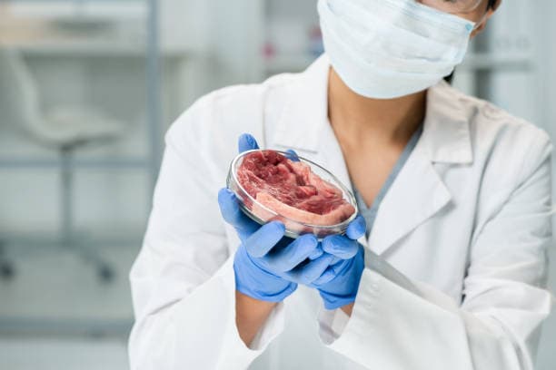 배양육과 탄소 발자국: 환경적 혜택의 진실