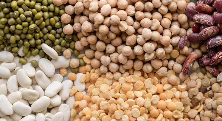 과민성대장증후군에 도움되는 음식 고섬유질 식품