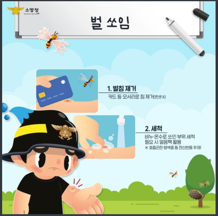 벌쏘임