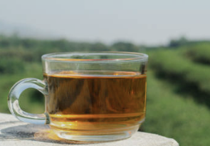 작두콩차 효능 부작용 끓이는 방법 먹는방법 등 총정리(최신 Ver)