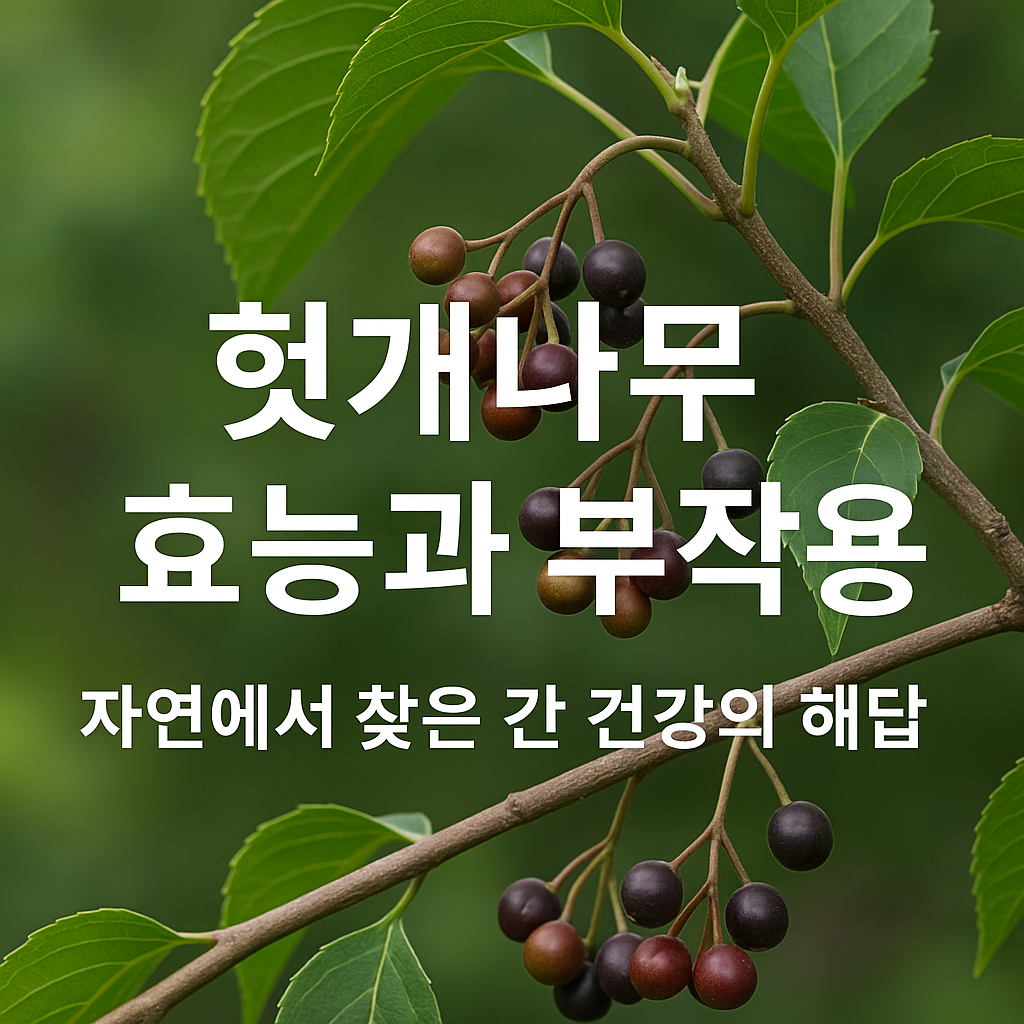 헛개나무 효능과 부작용 – 자연에서 찾은 간 건강의 해답